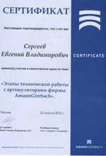 Сертификат выдан Сергееву Евгению Владимировичу, участнику мастер-класса «Этапы работы с артикулятором»